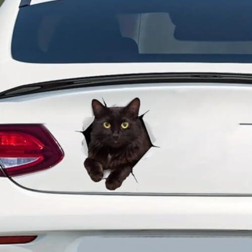 Dale personalidad a tu vehículo con las pegatinas de vinilo de gato negro