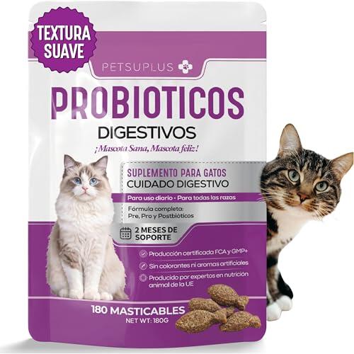 Salud digestiva felina: Cómo los probióticos mejoran el bienestar diario de tu gato