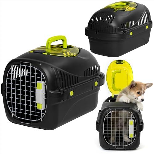 La Guía Definitiva para Viajar con Seguridad con su Perro Pequeño