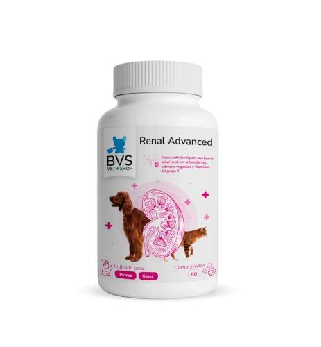 Cuidado Renal Avanzado para Perros y Gatos: Guía y Beneficios