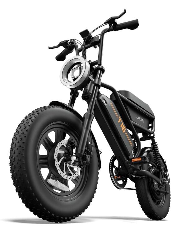 URLIFE de 16" x 3.0 Bicicleta Electrica, Batería Extraíble de 48 V y 13 Ah, Motor Sin Escobillas de 250 W, Autonomía de 120 km, Bici Eléctrica con Doble Suspensión, E Bike para Adultos