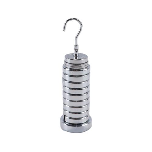 Riven Juego de peso de ranura de metal de 250 g, pesos métricos de acero cromado para experimentos físicos con colgador y maletín de almacenamiento