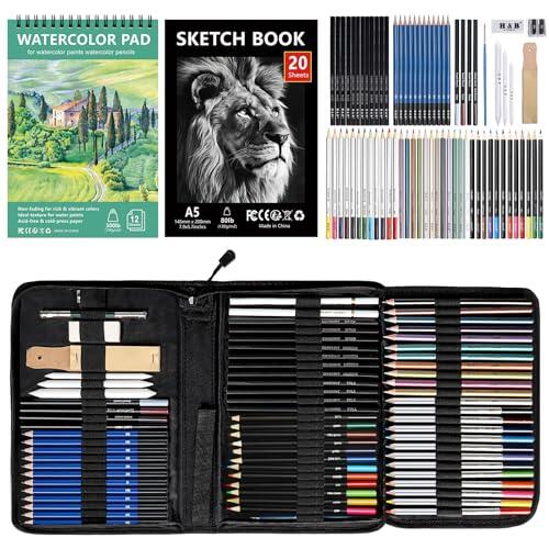 Desencadenando la Creatividad: Un Análisis del Kit de Arte Profesional