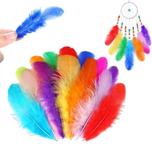 Androxeda 300 Piezas Plumas Manualidades De Colores, Plumas Naturales De Ganso, Multicolor Para Atrapasueños, DIY, Decoración De Bodas, Fiestas Y Proyectos Creativos