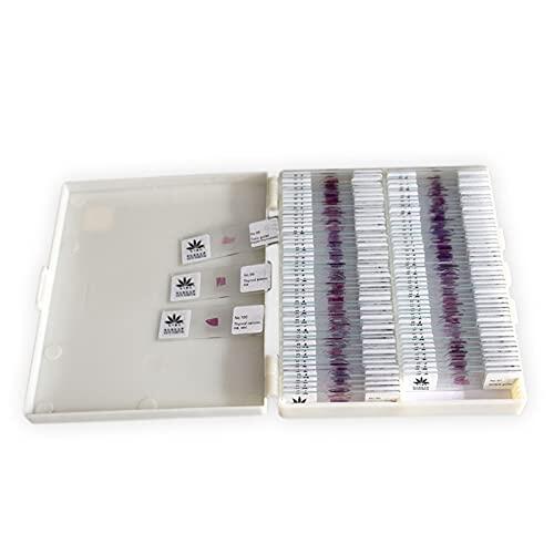 Diapositivas preparadas para patología humana, 100 piezas, portaobjetos de histología estructural teñidos para estudio médico y educación