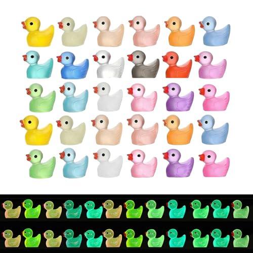 AMSGANK 30 Piezas Mini Patos de Resina Luminosa, Mini Patos en Miniatura Colores para Acuarios DIY, Decoraciones, Acuarios, Jardines, Paisajes de Microjardín, Bonsáis (Color Aleatorio)