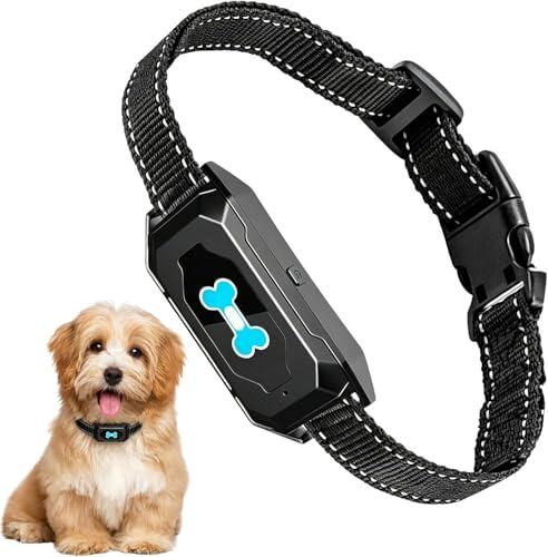 Solución Definitiva para Controlar los Ladridos Caninos