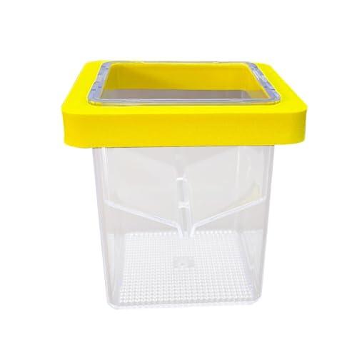 TWISAXC Criadero de acuarios con caja de cría flotante eficiente, ideal para peces betta y guppy. Caja de aislamiento de acrílico transparente para observación. Criadero de