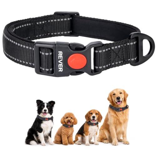 Guía Completa del Collar REVER de Nylon Reflectante para Perros