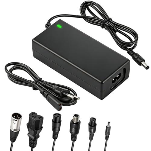 Cargador Patinete Eléctrico 42V 2A, Cargador Universal para Scooter con 6 Conectores, Adaptador de Corriente para Bicicleta Eléctrica y Hoverboard, Carga Estable y Segura, Repuesto Compatible