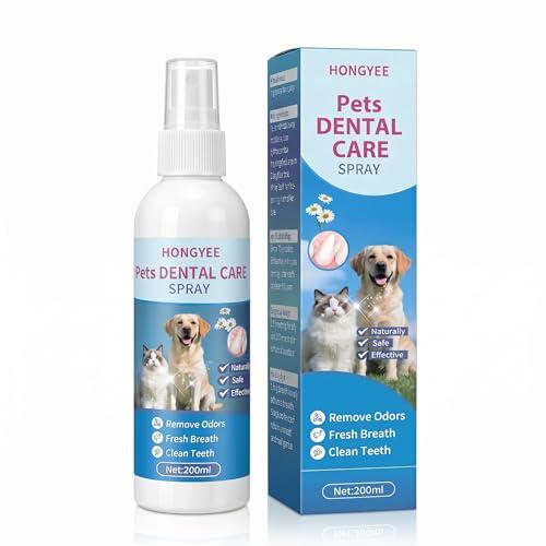 Guía definitiva para la higiene bucal en mascotas: Soluciones sin cepillado