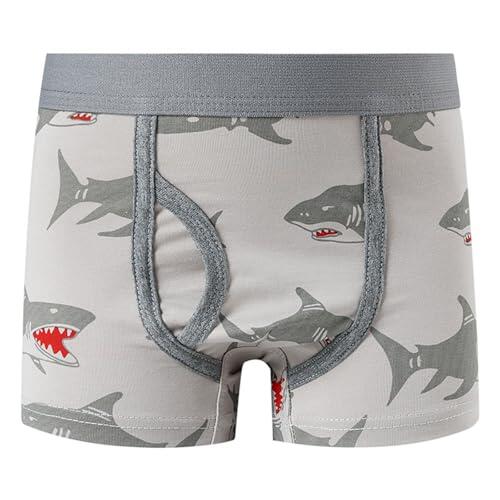 Genérico Calzoncillos Niño 1-12 Años Boxer Niño con Bragueta Dinosaurios Deporte Ropa Interior Infantil Bebe Cintura Elástica Transpirable Cómodo Suave (Light Gris, 6-7 años)