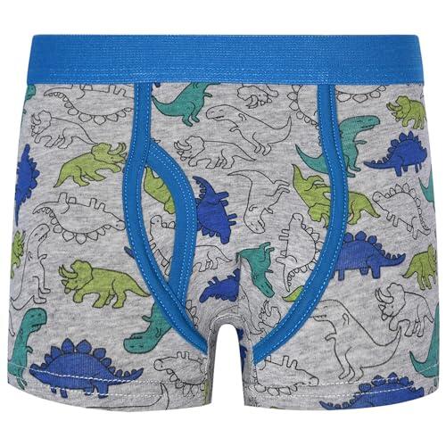 Genérico Calzoncillos Niño 1-12 Años Boxer Niño con Bragueta Dinosaurios Deporte Ropa Interior Infantil Bebe Cintura Elástica Transpirable Cómodo Suave (Azul Claro, 10-12 años)