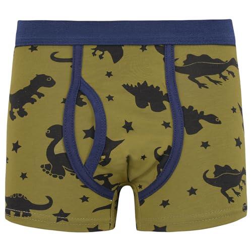 Genérico Calzoncillos Niño 1-12 Años Boxer Niño con Bragueta Dinosaurios Deporte Ropa Interior Infantil Bebe Cintura Elástica Transpirable Cómodo Suave (Dark Verde, 6-7 años)