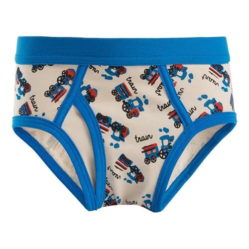 Genérico Calzoncillos Niño 1-12 Años Tractor Slip Niño con Bragueta Deporte Ropa Interior Infantil Bebe Cintura Elástica Cómodo Suave Transpirable (Cielo Azul, 4-5 años)
