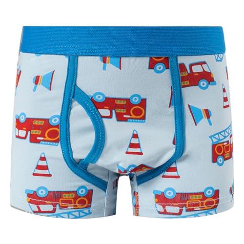 Genérico Calzoncillos Niño 1-12 Años Boxer Niño con Bragueta Dinosaurios Deporte Ropa Interior Infantil Bebe Cintura Elástica Transpirable Cómodo Suave (Cielo Azul, 4-5 años)