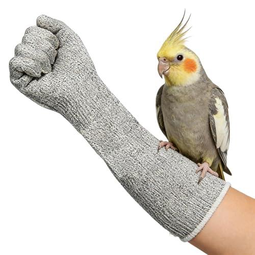 Genérico Guantes antiarañazos para gatos, guantes antimordeduras para adiestramiento de pájaros, guante resistentes a los arañazos para el cuidado de gatos, corte de uñas y protección de brazos