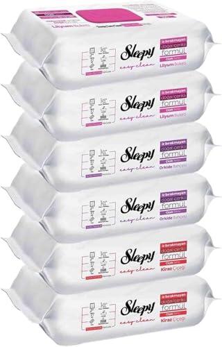 Sleepy Easy Clean Toallitas de limpieza multiusos 6 x 100 unidades, todas las variedades, prácticas toallitas húmedas para el hogar y la vida cotidiana, limpieza higiénica en cualquier situación
