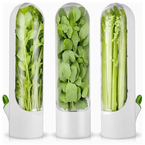 Generisch Juego de 3 recipientes de almacenamiento para frigorífico, para guardar hierbas aromáticas, cilantro, perejil y espárragos
