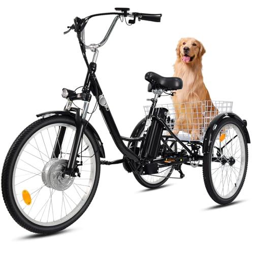 Triciclo eléctrico para adultos, 24 pulgadas, plegable, para hombre y mujer, 3 ruedas, con batería de litio de 36 V, 15 Ah, motor de 250 W, pantalla LCD, velocidad 25 km/h