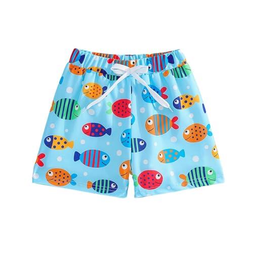 Bañador para niños pequeños, con estampado de peces marinos, cintura elástica, para playa, piscina, natación, surf, azul celeste, 5 años