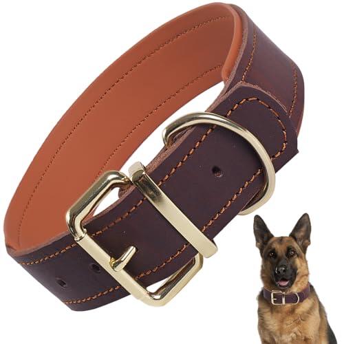 Guía Definitiva: Cómo Elegir el Collar Ideal para Perros Grandes