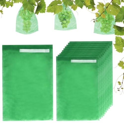 Protege tu cosecha: Guía completa sobre las bolsas para uvas YYSWSAky