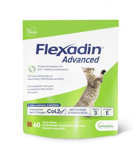Cómo cuidar la salud articular en gatos: guía y soluciones efectivas