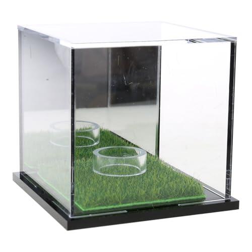 MURYE Soporte transparente para pelotas de golf, caja de exhibición transparente para golf, béisbol, accesorios pequeños de golf, pequeño
