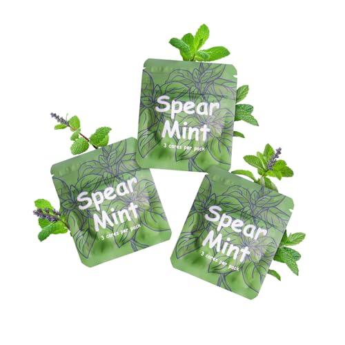 Filtro de sabor reemplazable para cadena respiratoria, varias opciones de sabor, almohadillas de aroma, uso para CARITATE