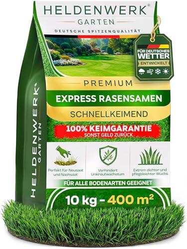 Cómo lograr un césped denso y resistente con semillas de germinación rápida