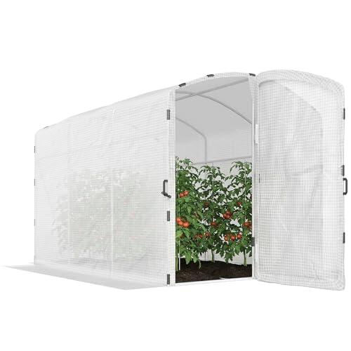 Guía Completa para Elegir el Invernadero de Jardín Outsunny de 6 Metros Cuadrados