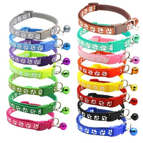 Guía Definitiva para Elegir el Collar Ideal para tu Cachorro con el Pack WUMZIRA