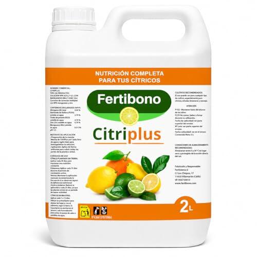 Guía definitiva para el cuidado y nutrición de árboles cítricos