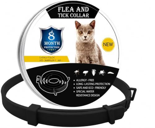 Guía Completa sobre el Collar Antiparasitario BAECU para Gatos