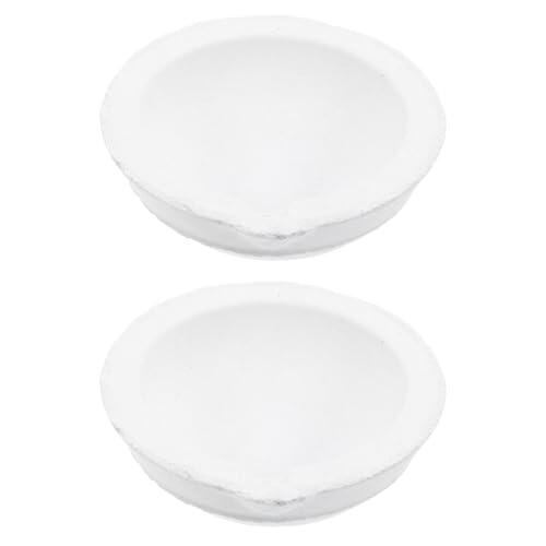 CHICAMPERA Suministros de Evaporación de Cuarzo Blanco Resistentes al Calor Duraderos 2 Platos de Evaporación Gran Superficie para y Uso Doméstico