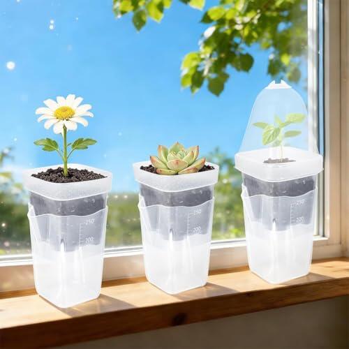 Guía completa para la propagación exitosa de plantas en casa
