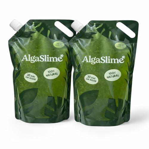 Soluciones de riego automático: Gel de microalgas para el cuidado vegetal
