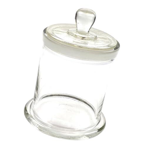 Woideklu Cubeta de Tinción de Vidrio para Portaobjetos de Laboratorio con Soporte Y Tapa, 950 MML