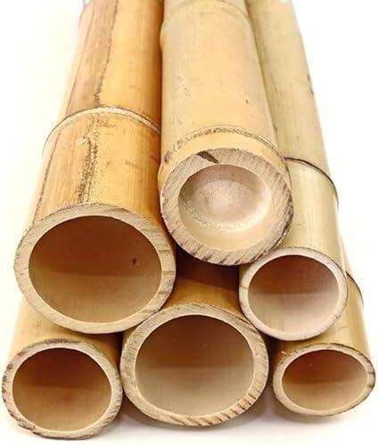 Caña de bambú Natural Asia 120cm - Diámetro Grueso 4-6 cm - Color Amarillo Natural (3)