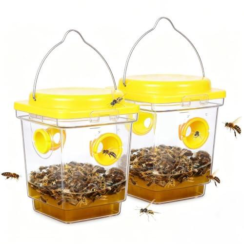 Soluciones eficaces para el control de plagas: Trampas para avispas LYSHOOCE