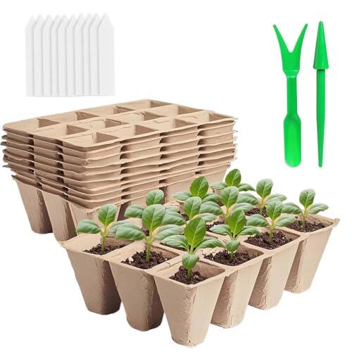 Guía definitiva para la germinación y el trasplante sin estrés con semilleros de pulpa