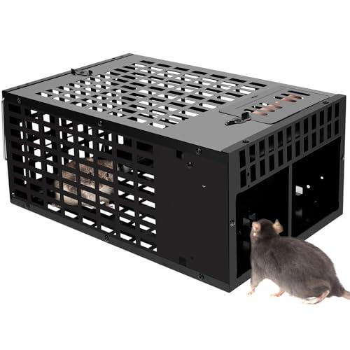 Soluciones eficaces para el control de roedores: Trampa MUUKAIII