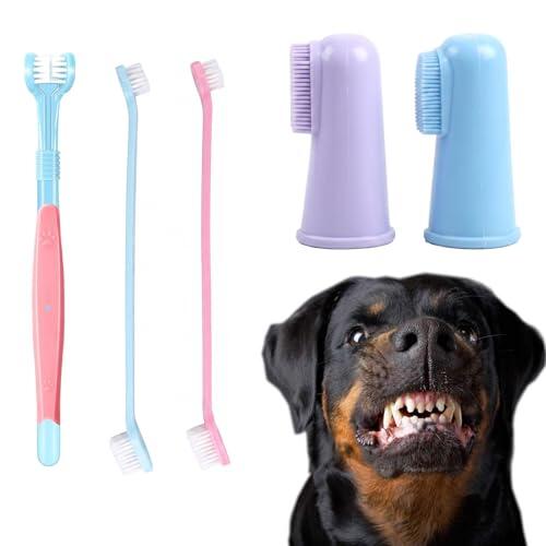 La guía definitiva para la higiene dental canina y felina