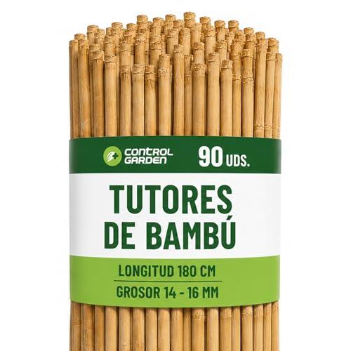 Guía definitiva para elegir los mejores tutores de bambú para tu huerto y jardín