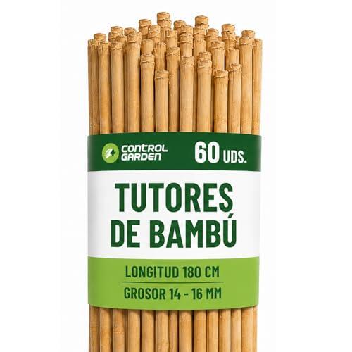 Guía Definitiva para Elegir los Mejores Tutores de Bambú en tu Huerto