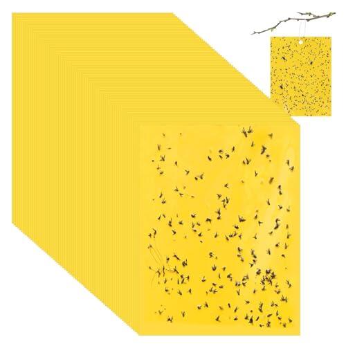 Genérico 20/40/60/80/100 Piezas Papel Adhesivo Amarillo de Doble Cara, 15x10 cm 𝙏𝙧𝙖𝙢𝙥𝙖𝙨 𝙙𝙚 𝙄𝙣𝙨𝙚𝙘𝙩𝙤𝙨 𝙙𝙚 𝘿𝙤𝙗𝙡𝙚 𝘾𝙖𝙧𝙖, 𝙥𝙖𝙧𝙖 𝘼𝙩𝙧𝙖𝙥𝙖𝙧 𝙄𝙣𝙨𝙚𝙘𝙩𝙤𝙨