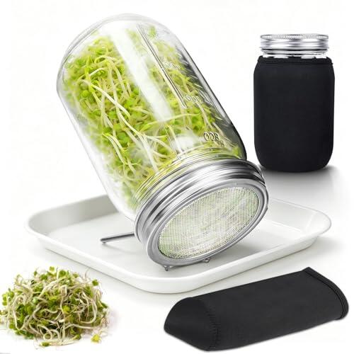 Cultiva tus propios brotes en casa de forma sencilla y eficiente