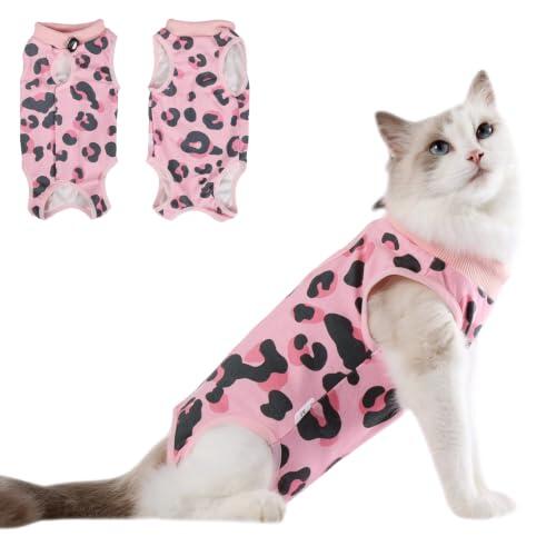 Guía Definitiva para el Cuidado Postquirúrgico Felino: El Traje de Recuperación DoggieKit