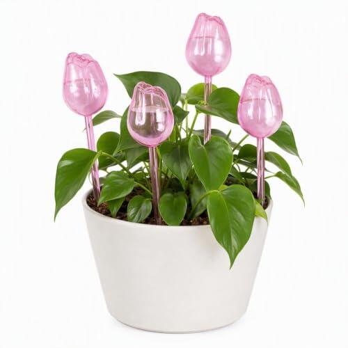 Guía Completa sobre los Globos de Riego Automático Marjoramy para Plantas